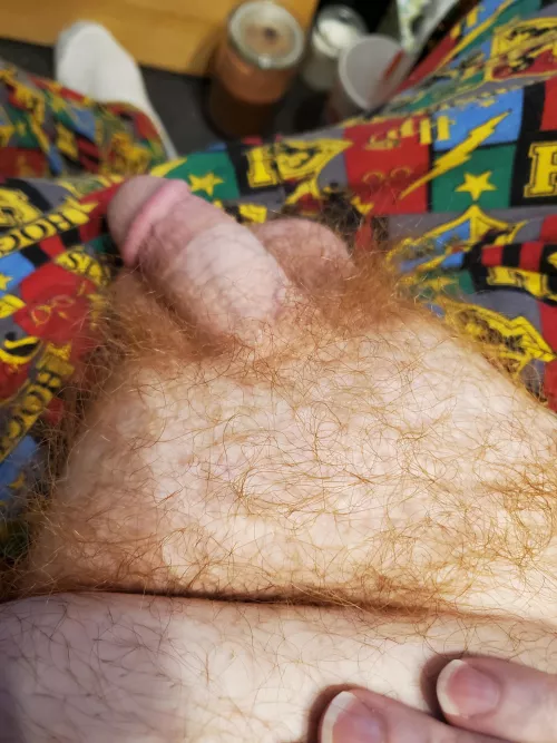 Soft ginger cock by Yerol4326