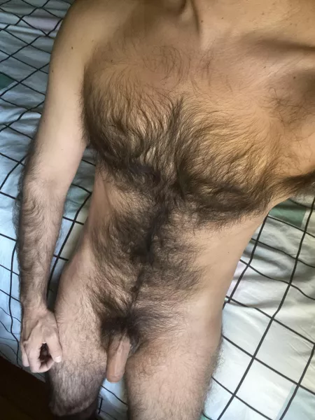 soft & hard by NedSeton