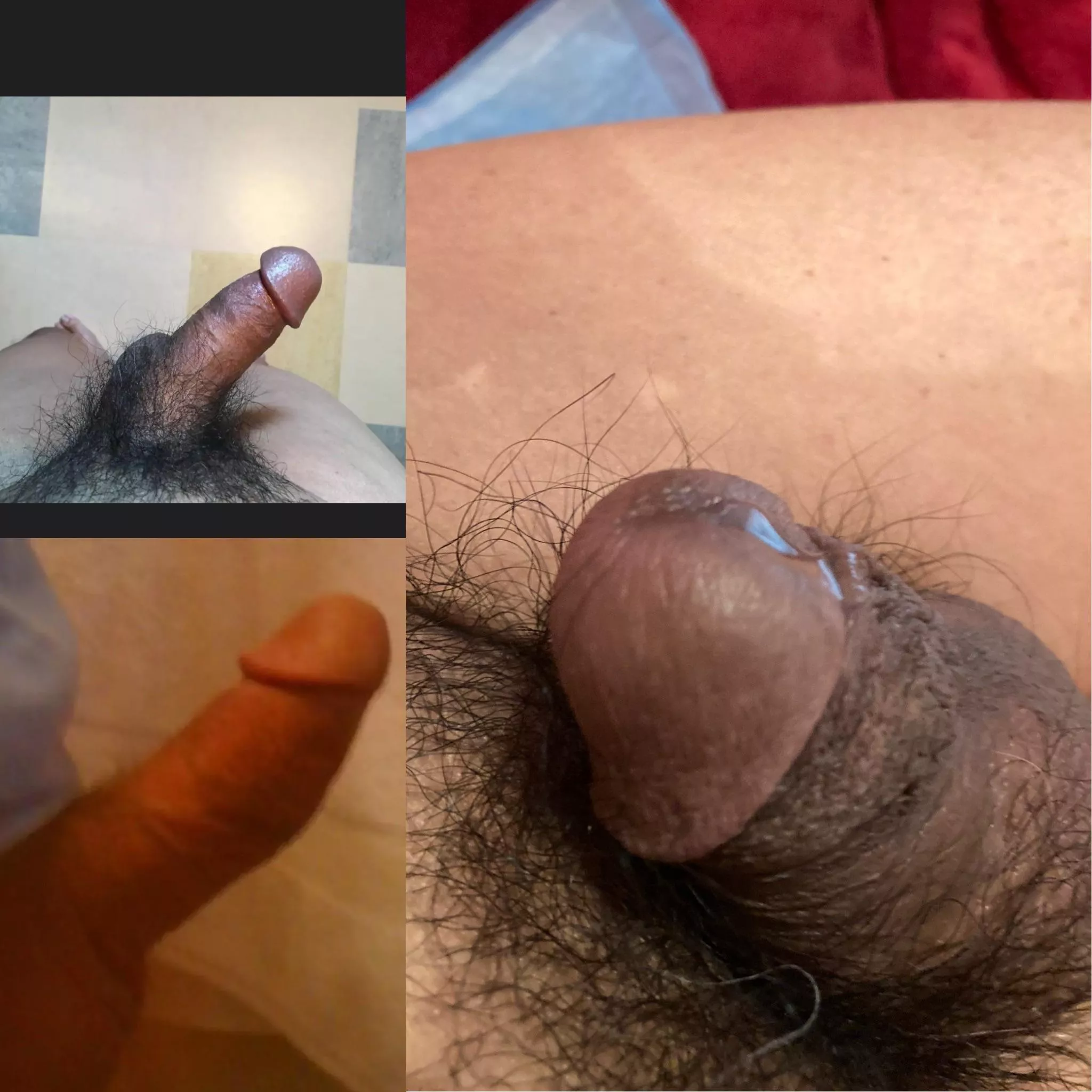 Soft it’s pretty short posted by CD_primajoy