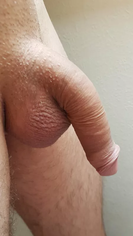 Soft pulled back by toepdtoep