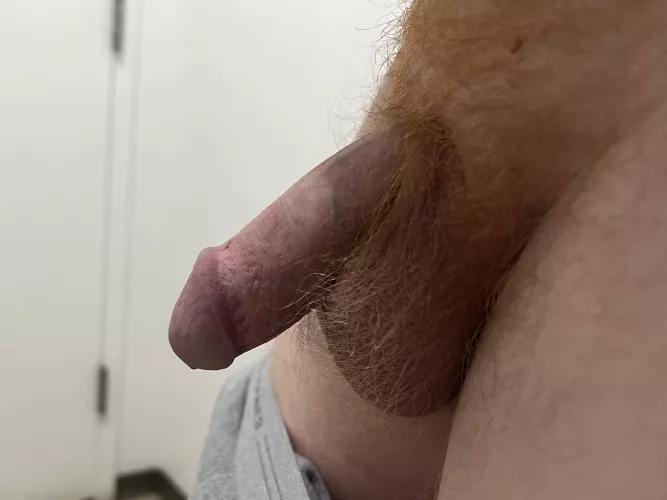 Softie at work by KANYEN0RTH