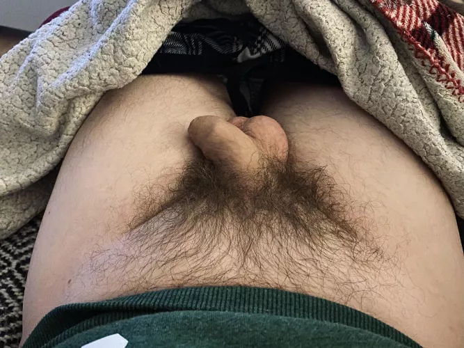 Softie + balls + dark bush by pulsatio