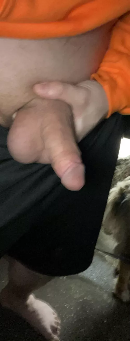 Softie first time ever in public on a walk 6’5” by SignificantTrash3387