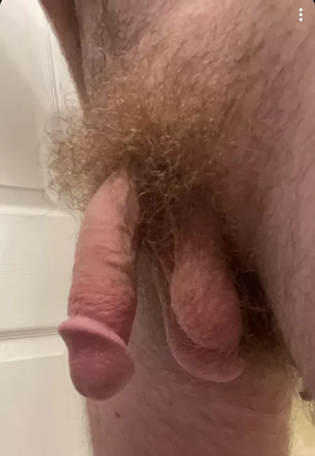 Softie Monday! by Curved2theleft_1