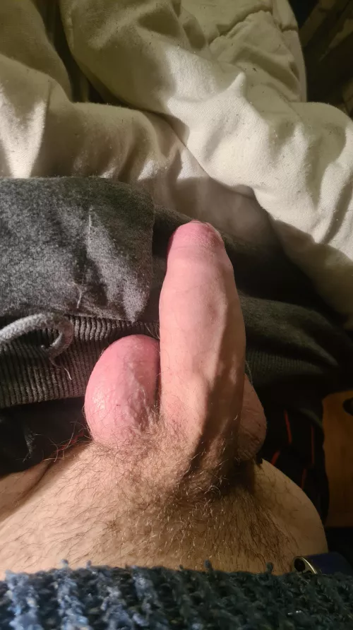 Softie by Spirited_Currency225