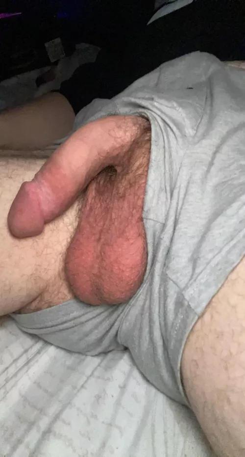 Softie w bull balls by xcmdominatrix