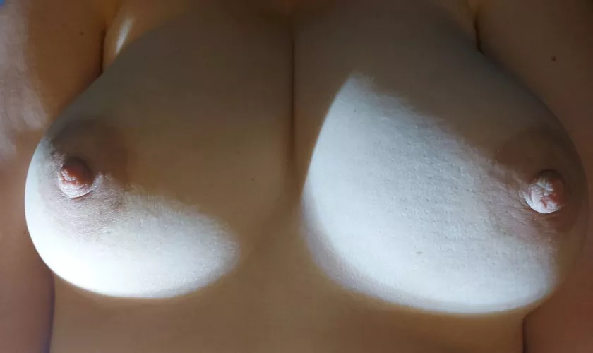 Softness for Sunday. by fauxdiamonds