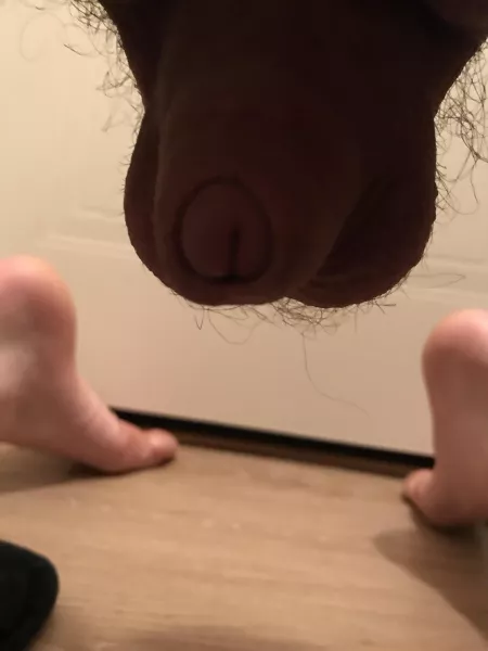 Softy [22] by MichaelGira