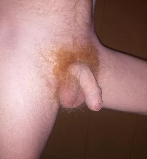 Softy peekaboo by edginger