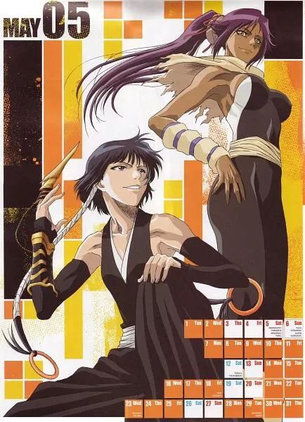 Soi Fon & Yoruichi Ringing Out May With A Bang (Tite Kubo) [Bleach] posted by ISTJScorpio95