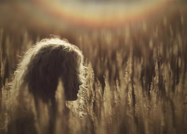 Solar corona by jolioshmolio