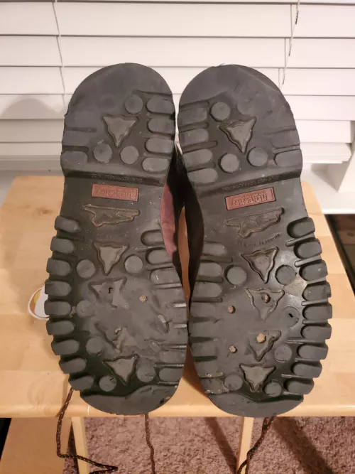 Sole wear on my Irish Setters by rworld1