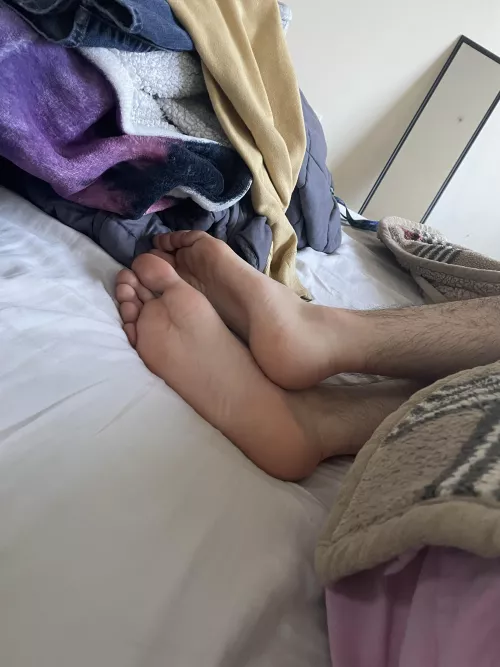 Soles this morning by boredomporndom