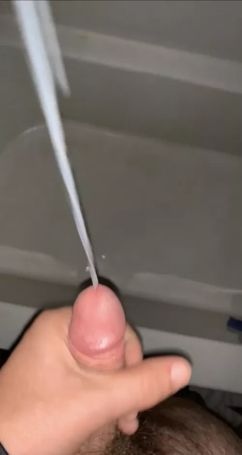 Solid rope :) by Lookatmydisc