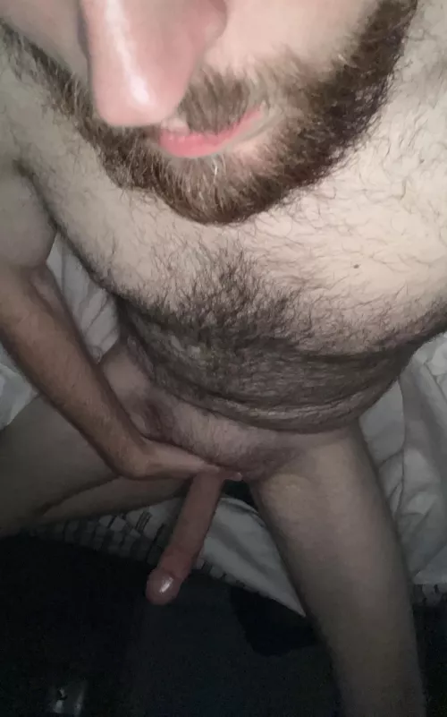 Some afternoon wood by musicmaker2010