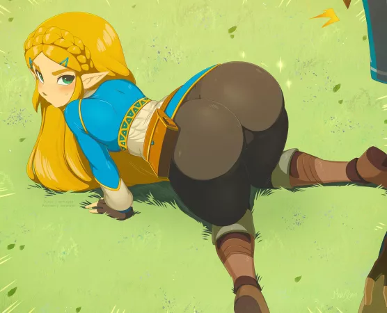 Some botw Zeldass by Nintendoper64