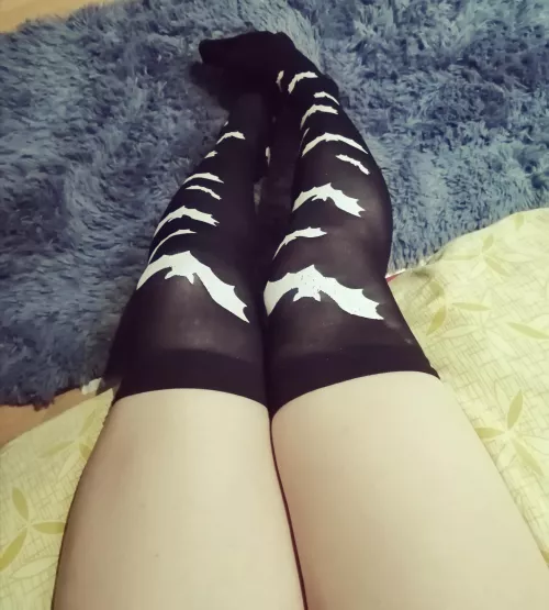 Some cute bats :3 by Ushiyashi