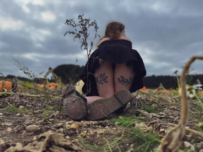 some fun at the pumpkin patch by the_huldra