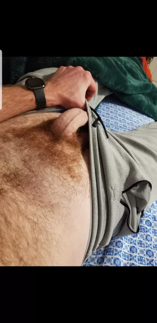 some gingerness for your day by gingervitus_87