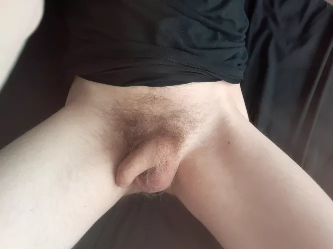 Some help would be great by arealpersonnotarobot