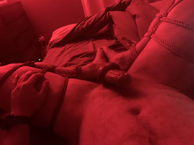 Some lockdown fun. by dtownrocks83