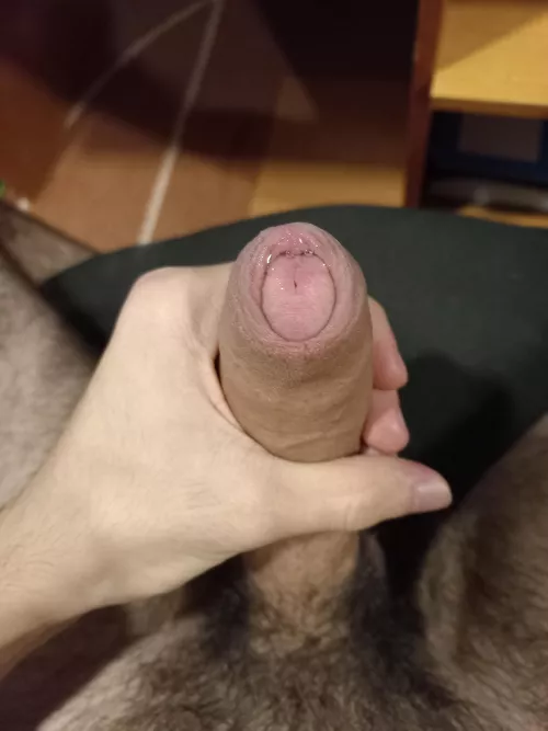 Some more and i'll make a little pool by caralhao18