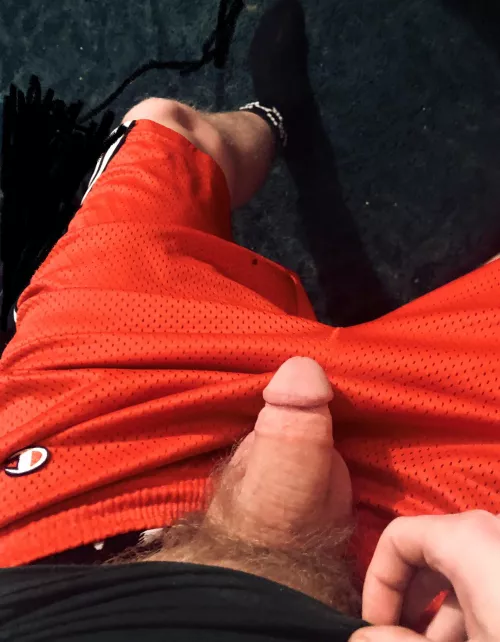 Some pubes. Upvote if you wanna see more by jacktwistt