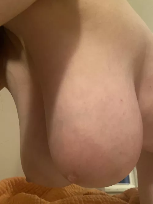 Some Sunday saggers! 😉 by MrsPJHaverstock