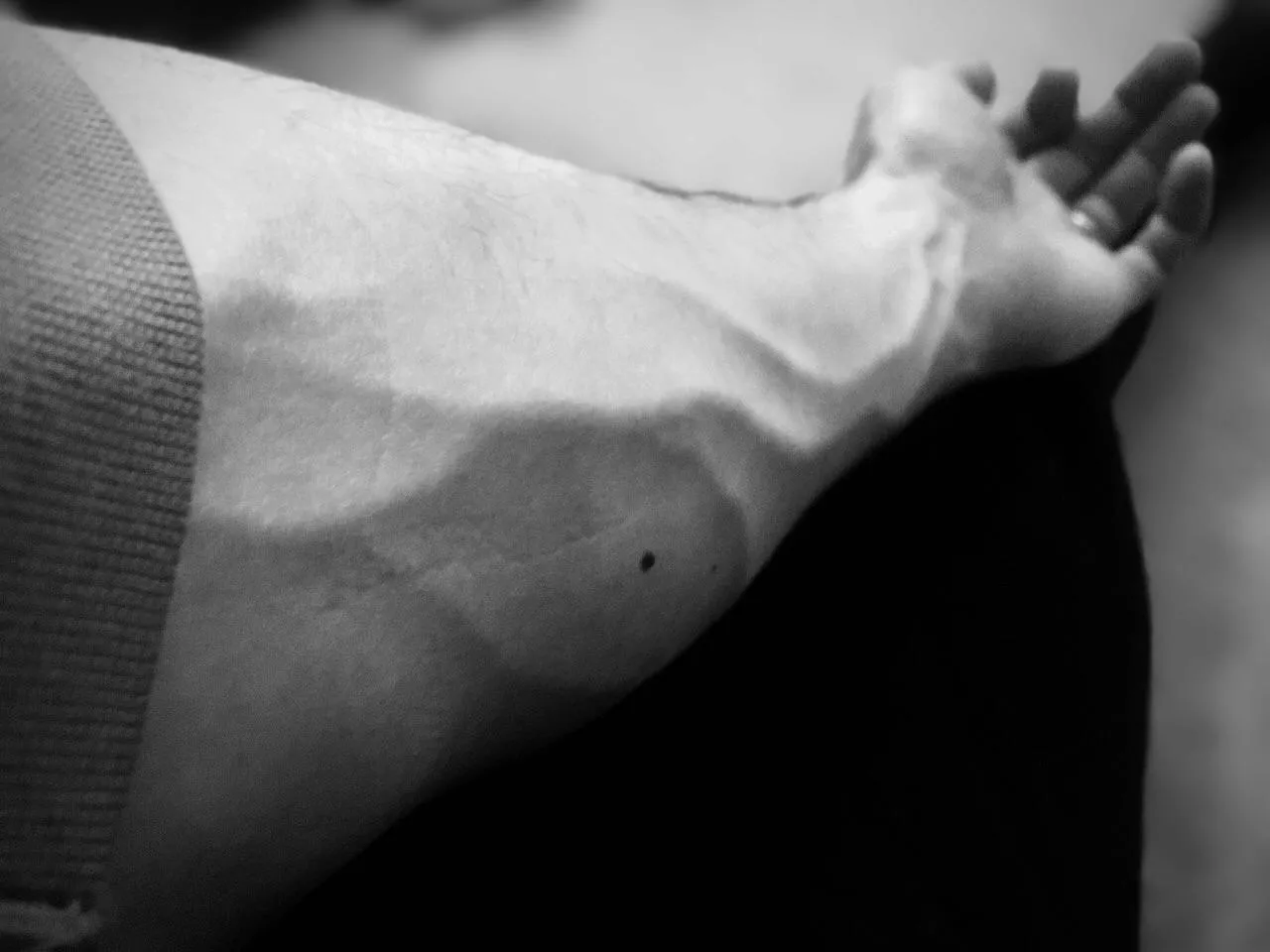 Somebody smooth these creases out… posted by DB43X