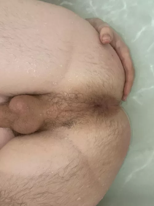 someone breed me by Far-Cryptographer379