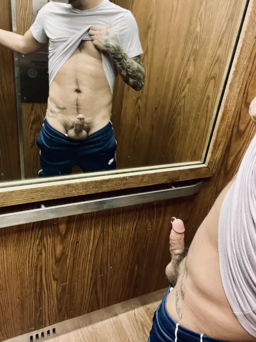 Someone called the elevator as I started to take my cock out. by liberaldemons