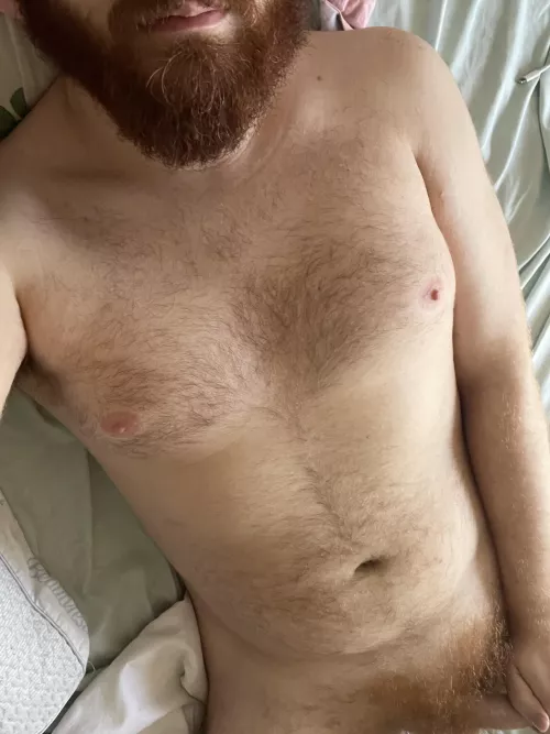 Someone come cuddle by flowerprincepro