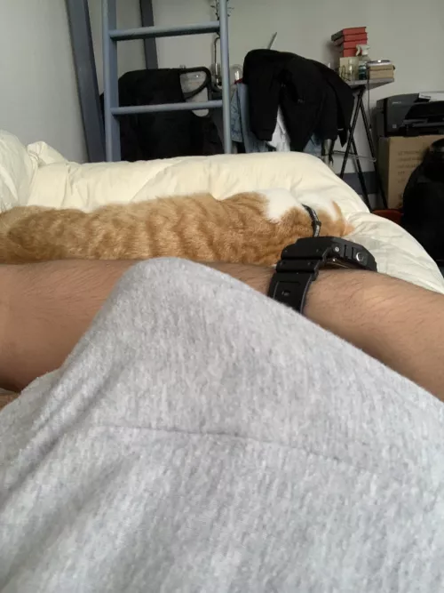 Someone help me by Mammoth_Map3783