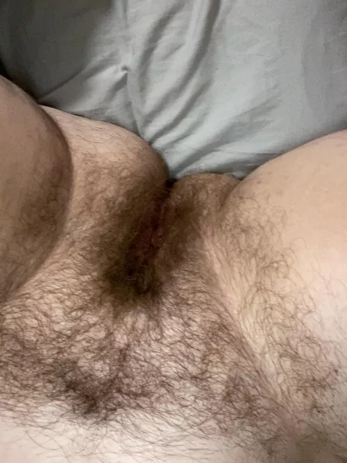 Someone keep me company by Ok_Tiger3161