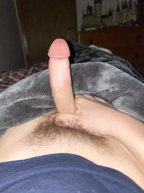 Someone trade with me by KoalaOtter123456798