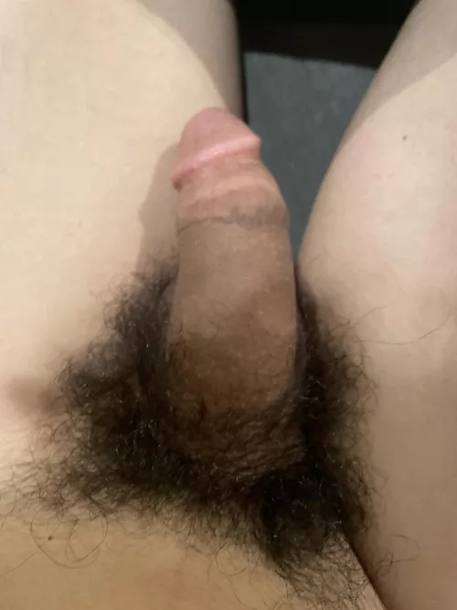 Someone wanna eat this? by Ok-Cover7213