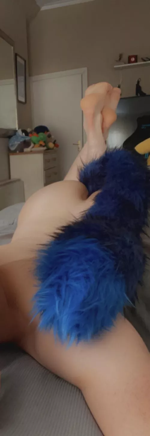 Someone want to play with this kitten? by thedesolate95