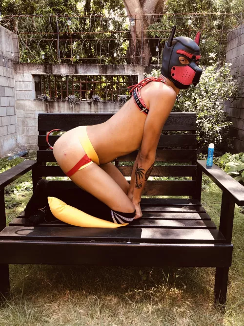 someone wants to play with me? 🙈🙈 by bastienpriv