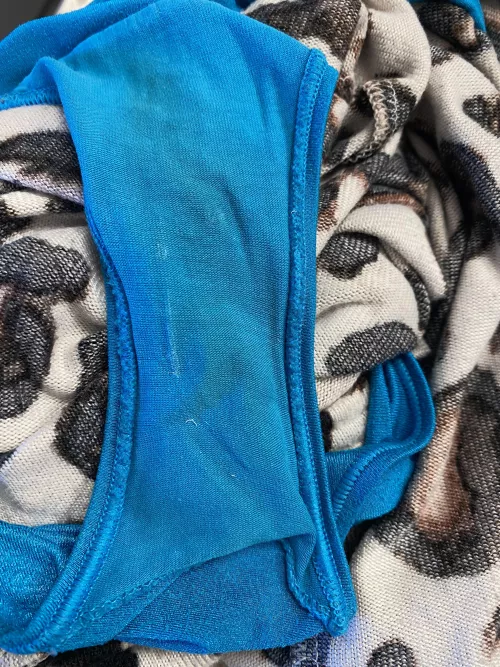 Someone was mad at me while I was deer hunting…but it looks like she had fun by b8679