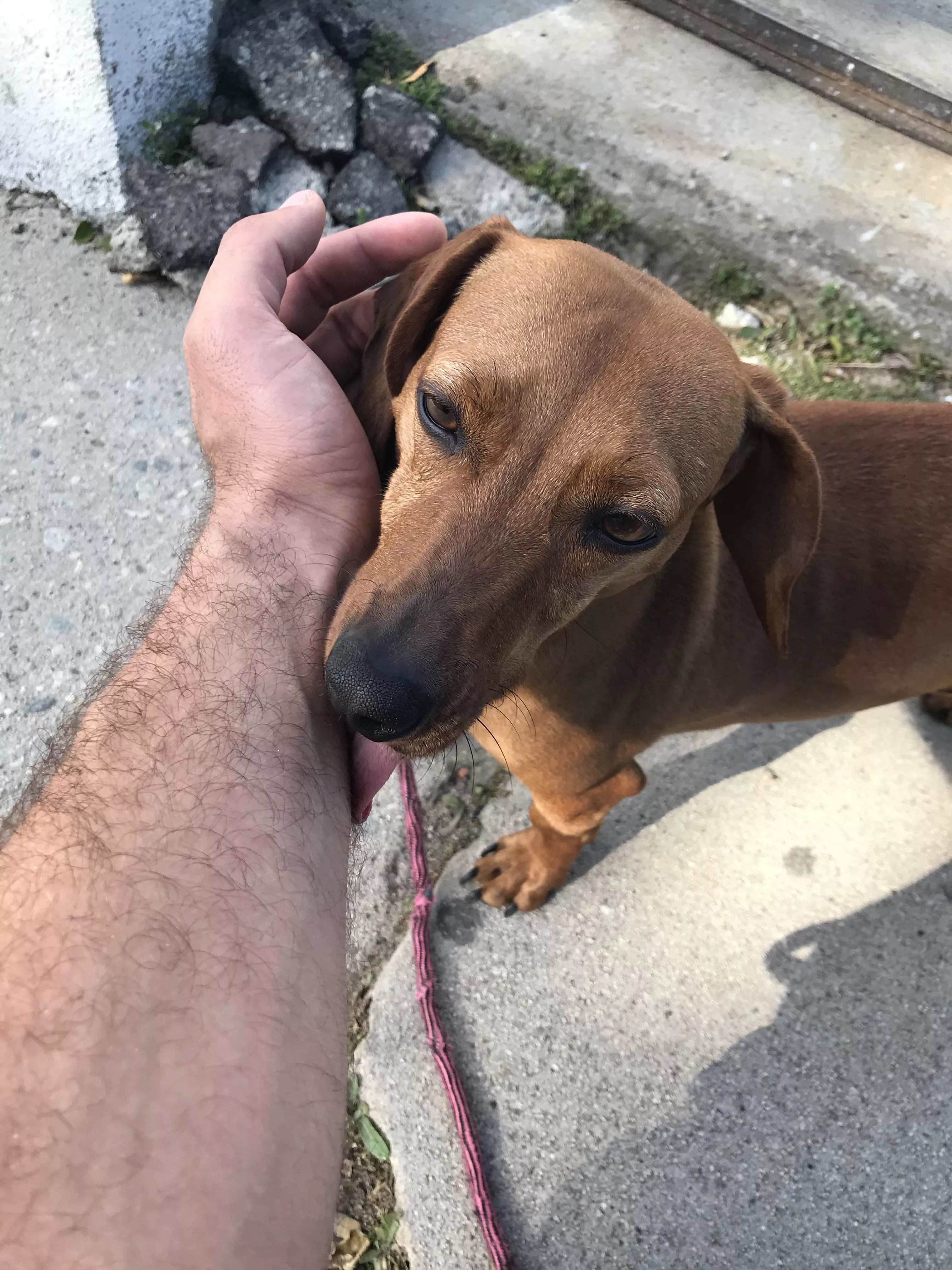 Someone’s a fan posted by savagecabbage182