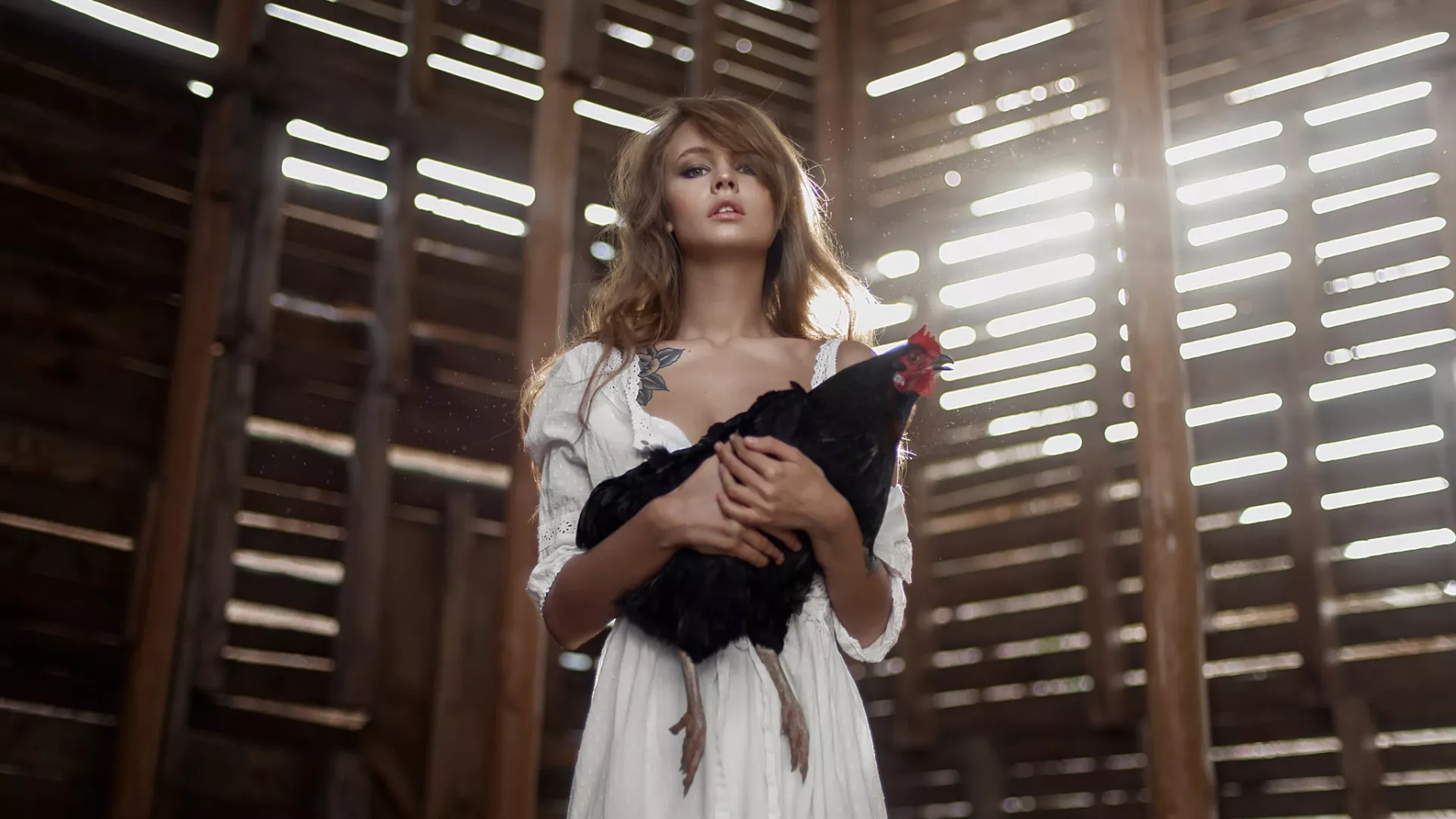 Something something big black cock (SFW) posted by [deleted]