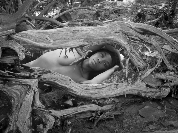 Sometimes downed trees are more interesting by GreatGoatsInHistory