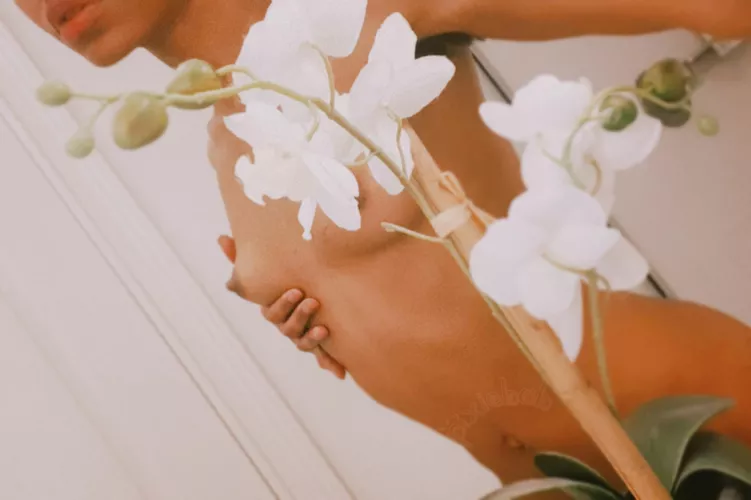 sometimes i feel like a flower 🌸 by pixiebab