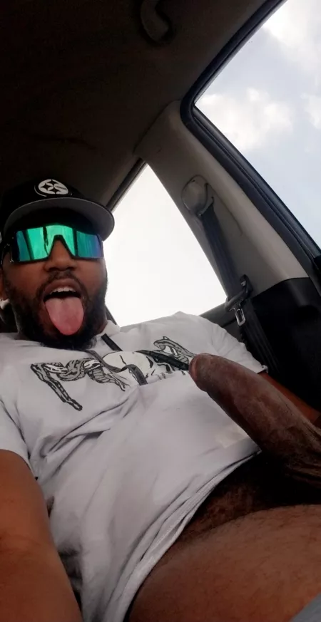 Sometimes I wish I had a road trip partner 😈 by kingwebbslinger