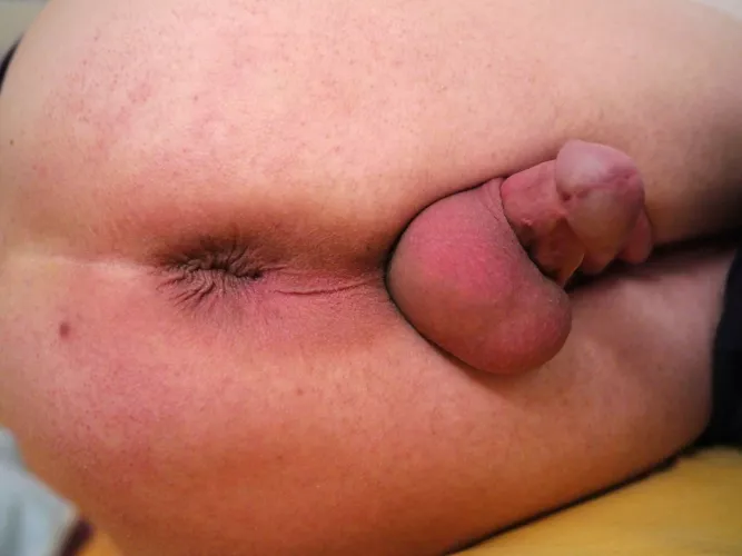 Sometimes I'd love to feel a hard cock deep inside my ass by InfamousTemporary667