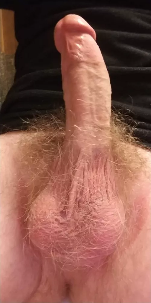 Sometimes people hate on my pubes but maybe some people here will enjoy them. by LST007