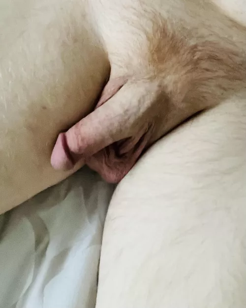 Sooo pale by Gingybeard77