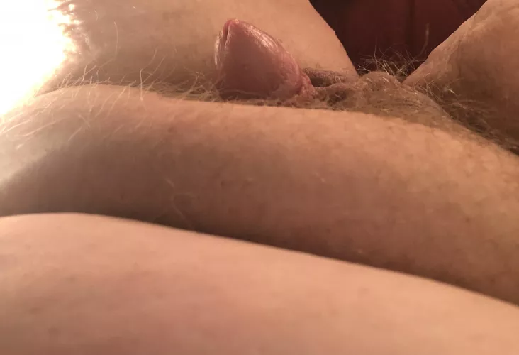 Sorry it’s small lol by Howsona