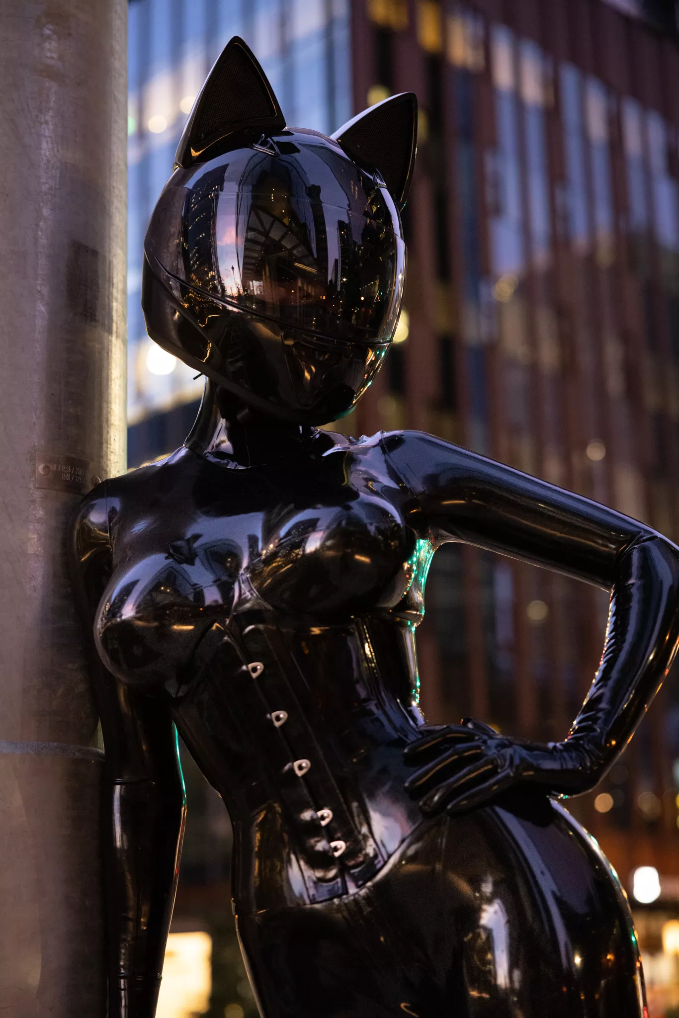 Space kitten returns posted by reflectivedesire