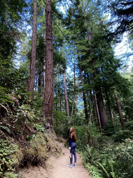 spent my 23rd bday in good company. 🌲🌲🌲 by Scarletsunflowers